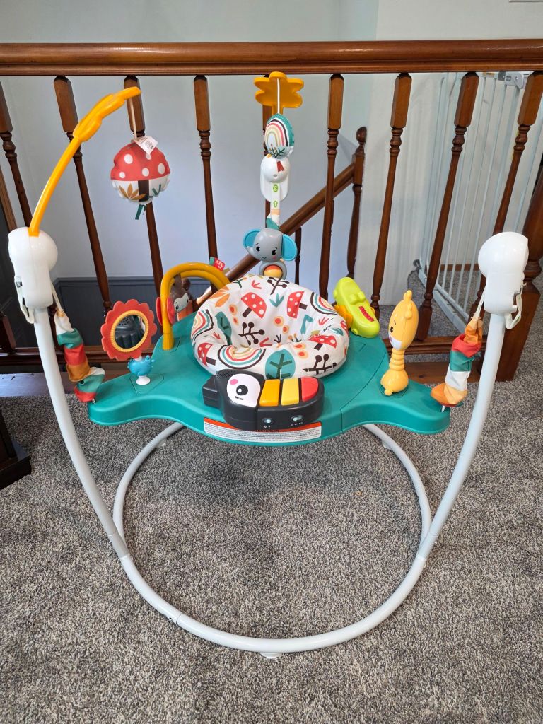 This is the Fisher- Price Jumperoo 360° Activity Center. 